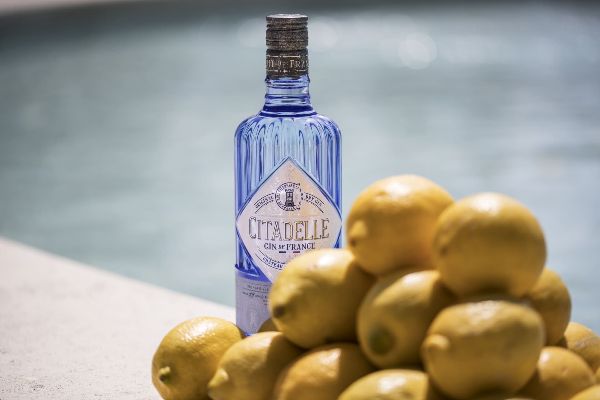 Citadelle Gin | of French Best | France Pionnier Gin In Citadelle Gin, Gin Brand
